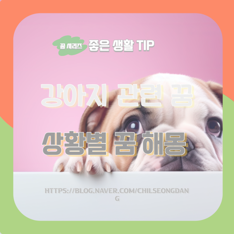 하얀색 강아지 꿈 검은색 개 보는 꿈 누렁이 보는 꿈 강아지 죽이는 꿈 만지는 꿈 강아지....