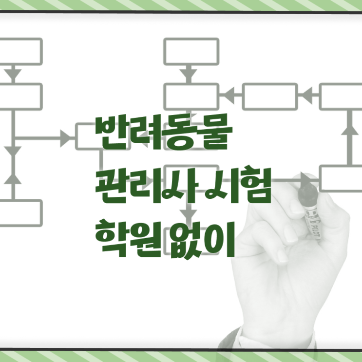  반려동물 관리사 시험 하는일 핵심 정보 가득 ~