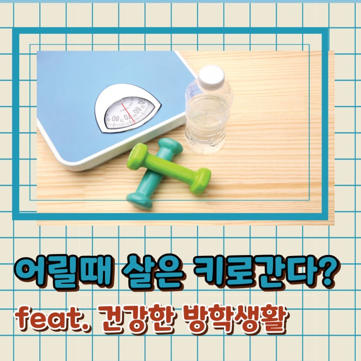  소아비만의 문제점 간호사 엄마와 원인부터 진단 관리 팁까지