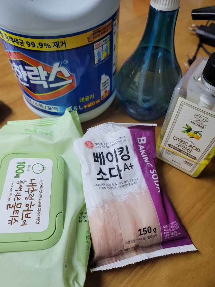  깍지벌레 퇴치 약//몬스테라 깍지벌레(개각충)퇴치방법, //몬스테라 기르기