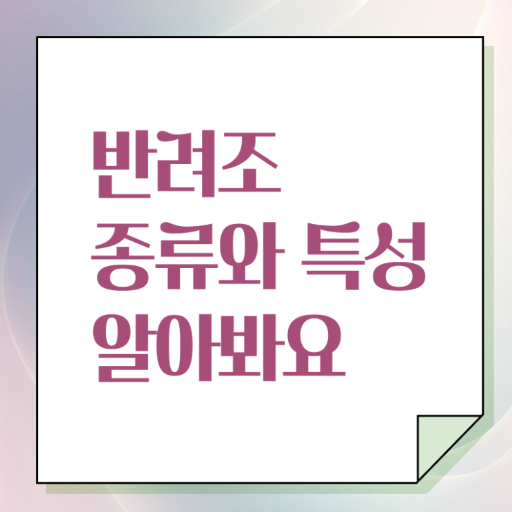  반려조관리사 자격증 발급기관 A부터 Z까지 !