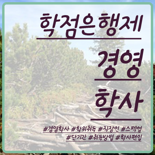  학점은행제 경영학 독학사 정리해봤어요 ?!