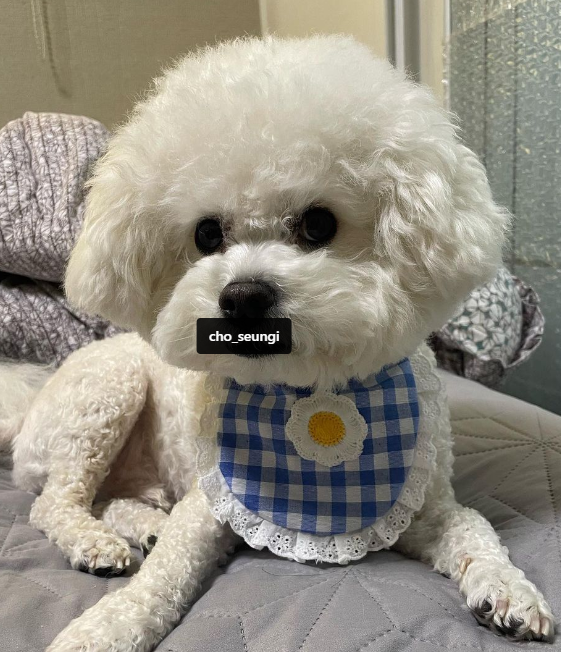 초승이 방송 진출?