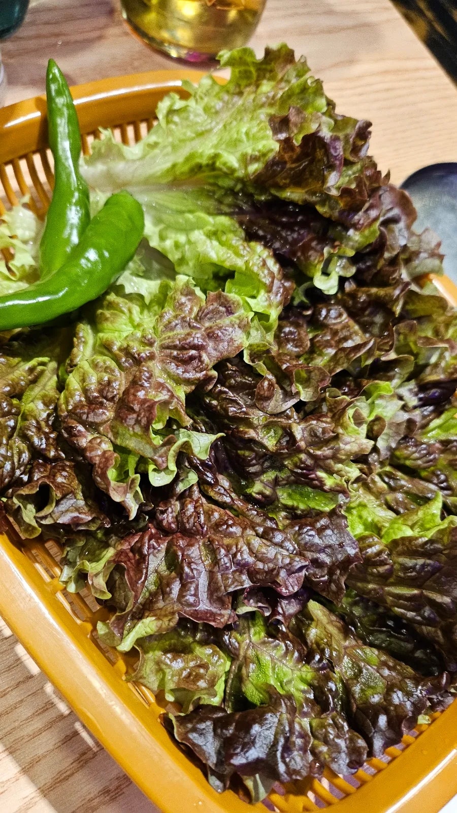 이바네 사진 8