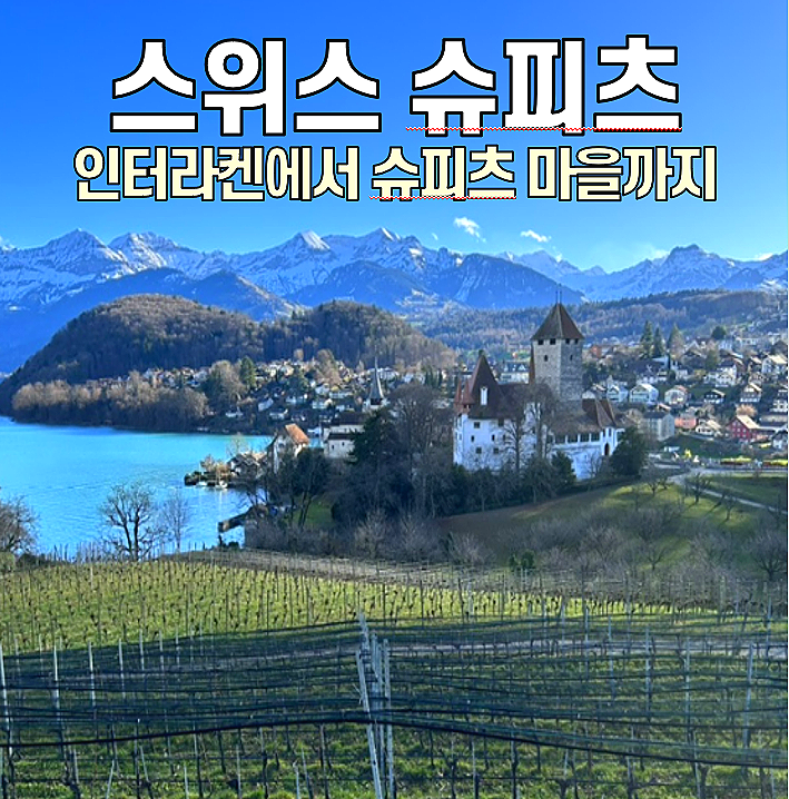  [스위스 여행] 슈피츠 마을 / 인터라켄 근처 가볼 만한 곳
