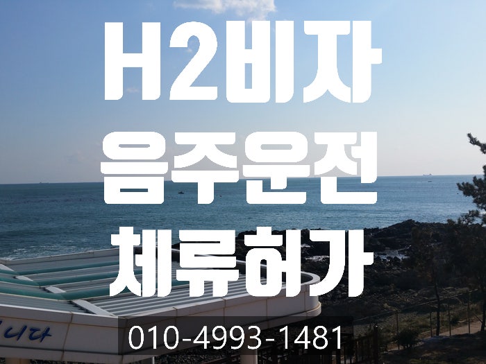  H2 비자 중국동포 음주운전 벌금 800만원 체류허가- 안산.인천.부천.부평.성남.화성.광주.이천
