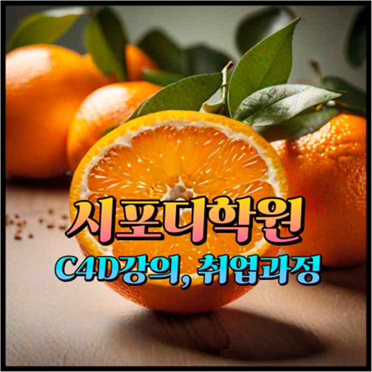 시포디학원 / C4D강의를 통해 입시, 취업과정