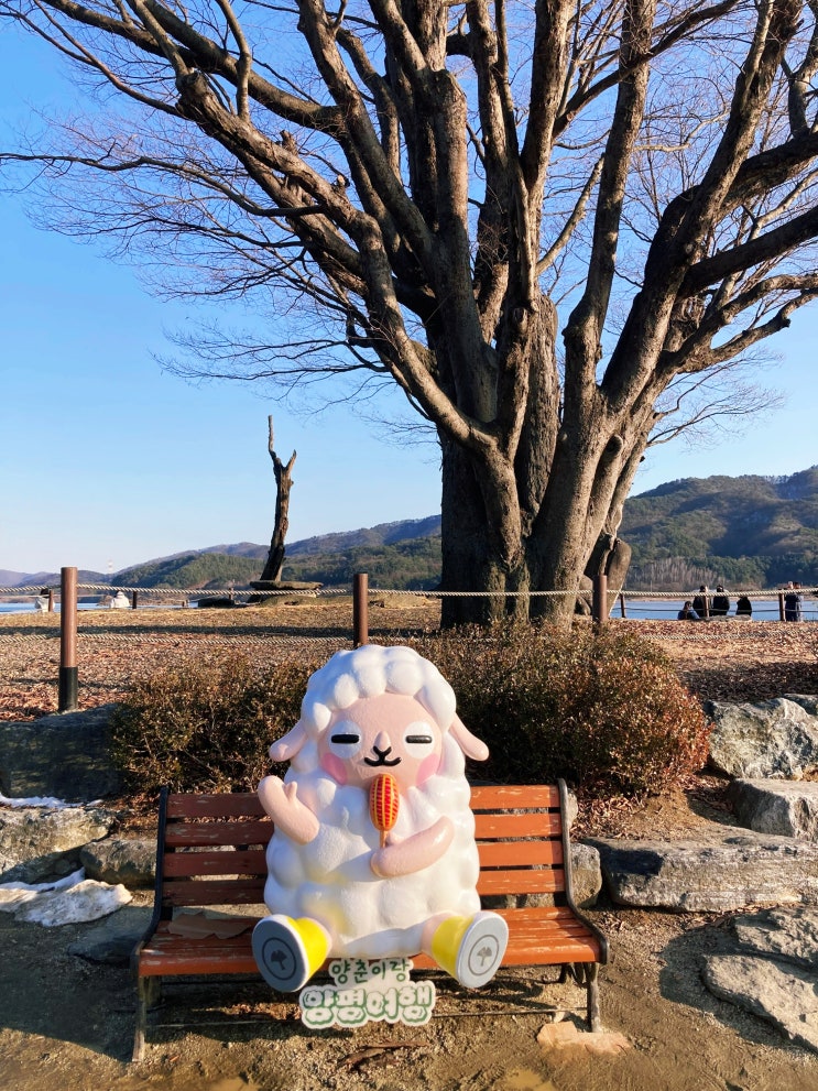  다시 운동을 시작합니다