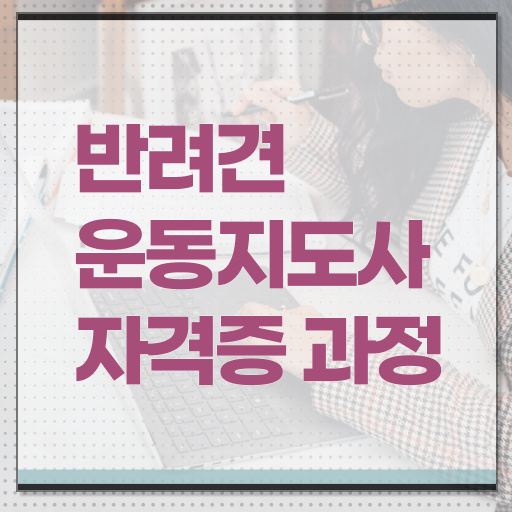  반려견운동지도사 자격증 1급 빠른 취득 정보 필요하시죠 ~
