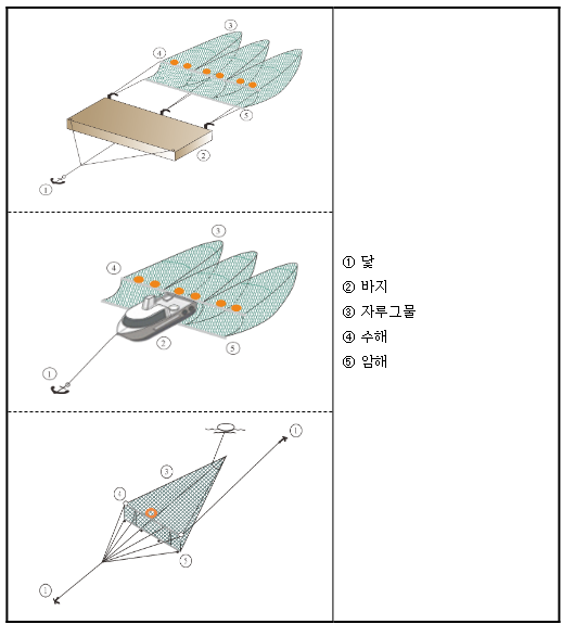 실뱀장어 조업, 규제개선으로 안전성·편의성 높인다 실뱀장어 조업, 규제개선으로 안전성·편의성 높인다