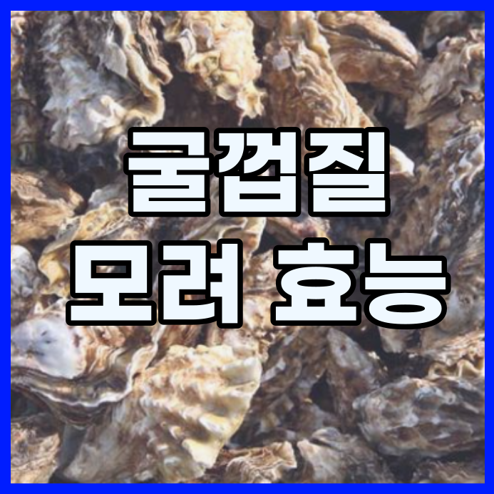  굴껍질. 한약재 모려의 효능