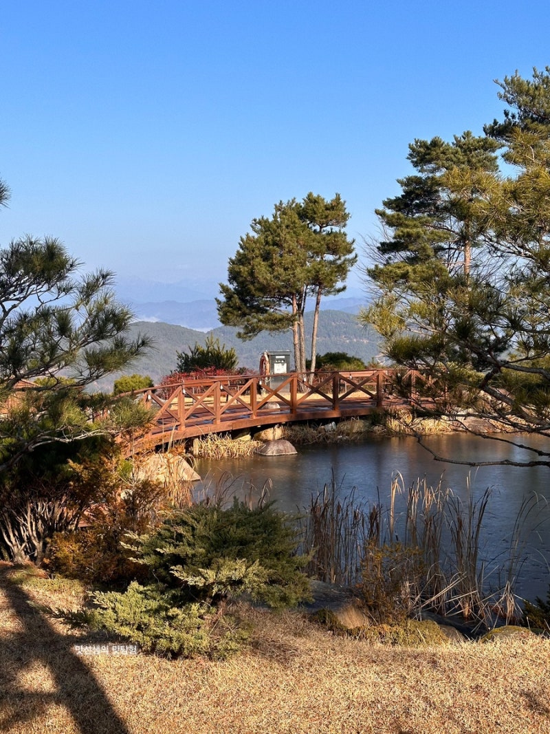 사진 5