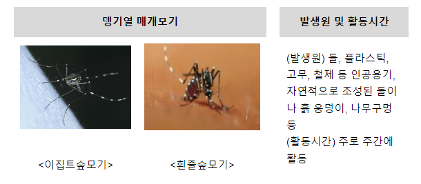 해외여행 후 검역소에서 뎅기열 무료 검사 받으세요 해외여행 후 검역소에서 뎅기열 무료 검사 받으세요