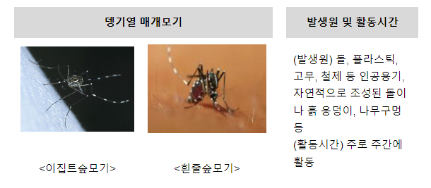 해외여행 후 검역소에서 뎅기열 무료 검사 받으세요