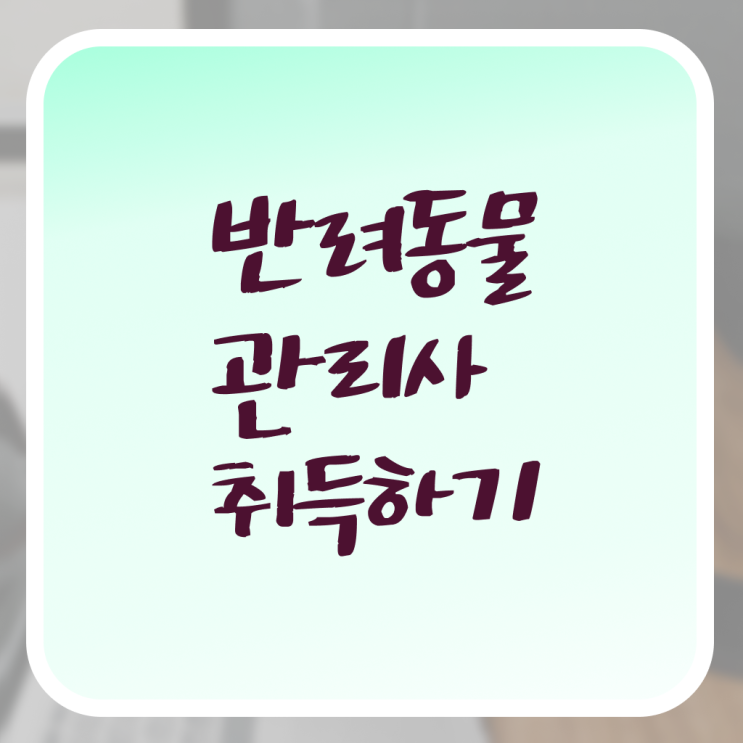  반려동물관리사 시험 발급기관 A부터 Z까지 .