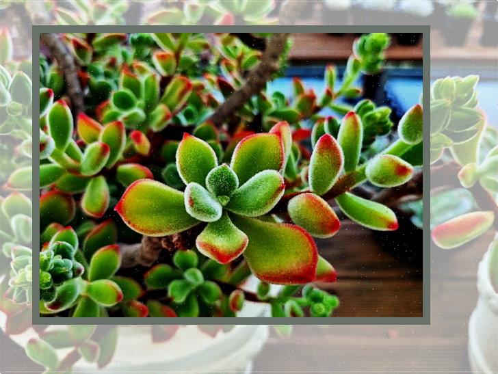  견과류 효능 간결하게 여러 가지 안내해 보기