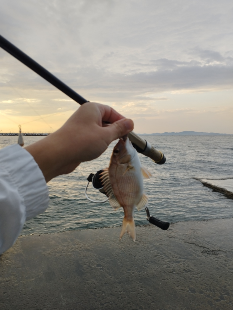 가을 마검포 차박, 안면도 리솜리조트, 낚시여행 후기 가을 마검포 차박, 안면도 리솜리조트, 낚시여행 후기
