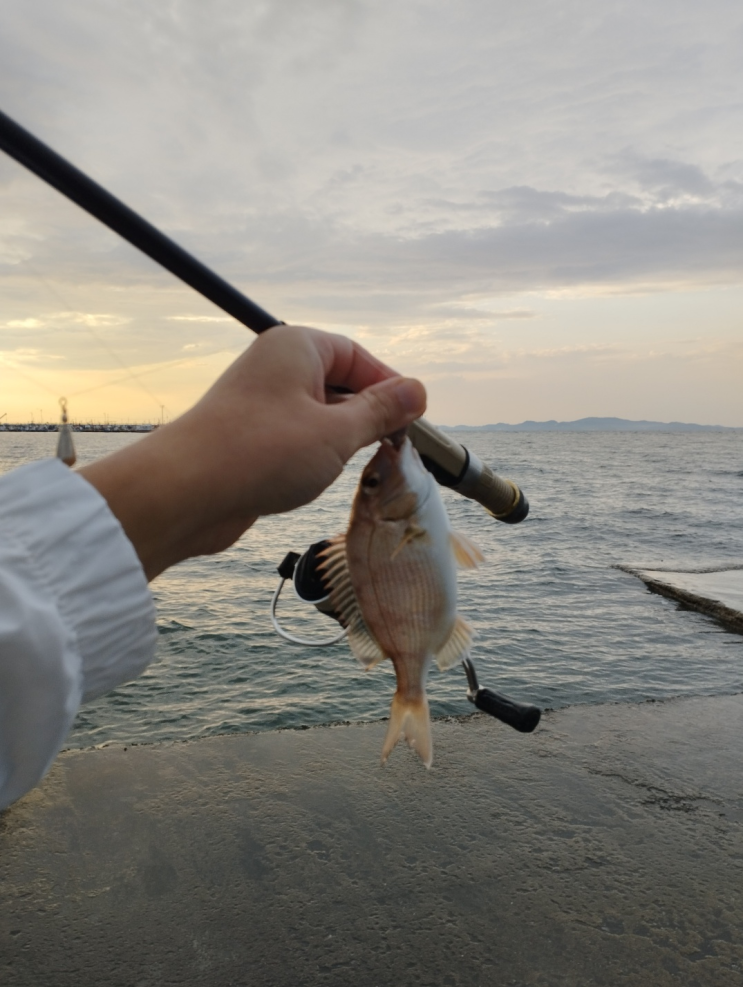 가을 마검포 차박, 안면도 리솜리조트, 낚시여행 후기