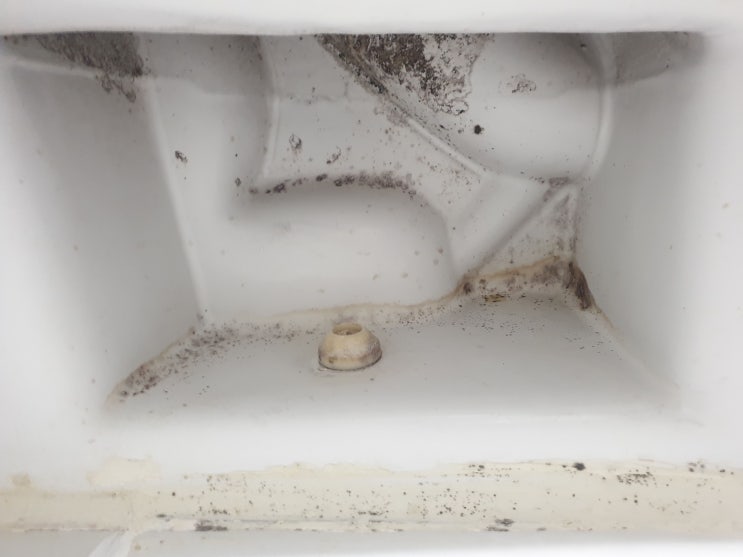  괴정자유2차아파트 이사청소 변기 아래까지 깨끗하게