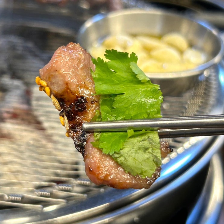  부평 양꼬치 맛집 양도둑 퀄리티 있는 양고기