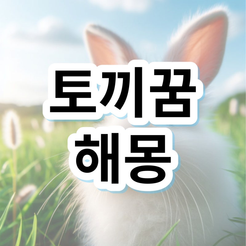 토끼꿈 토끼 나오는꿈 해몽 의미 알아볼게요