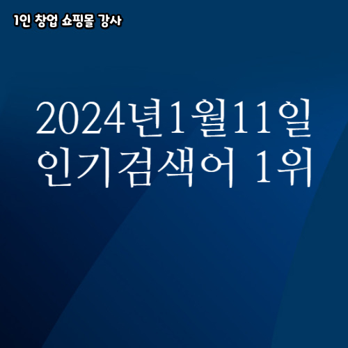 2024년 1월 11일 네이버쇼핑 분야별 인기 검색어 1위