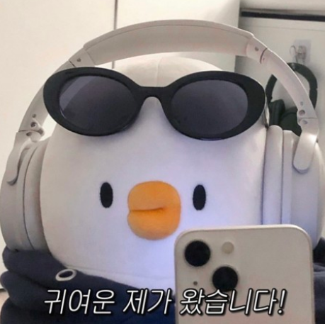  [240111]수영 22회(12번째 강습️+헤이엄수모)