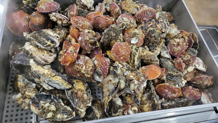  [창원시] 구산면 바다가 보이는 굴 맛집 구이바다