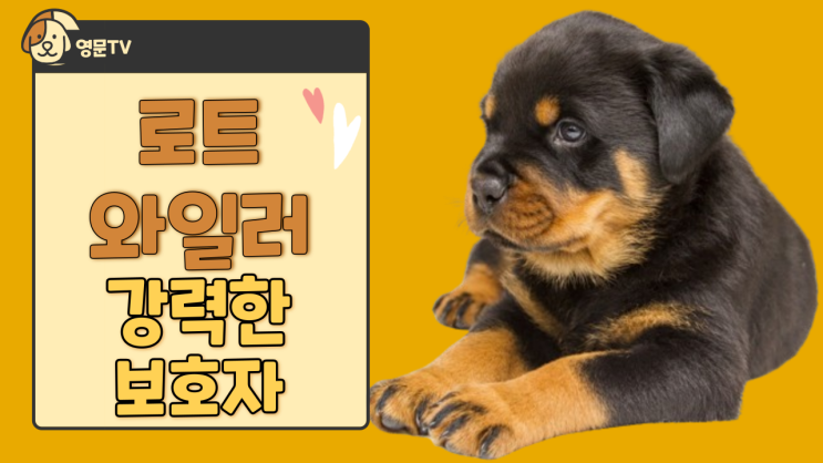  로트와일러 두려움 없는 수호자