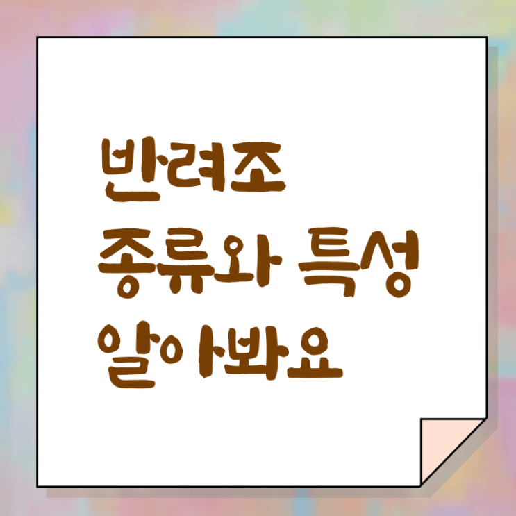  반려조관리사 자격증 취업 살펴보아요 ~ 한국자격검정원
