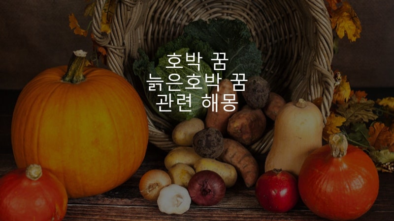 호박 꿈 늙은 호박 꿈 관련 해몽