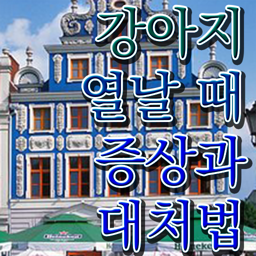  강아지열날때 처치방법 이건 꼭 봐야해요 ~