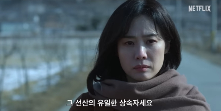 넷플릭스 <b>선산</b> 등장인물 줄거리 웹툰 정보 김현주 <b>박희순</b>의 재회!