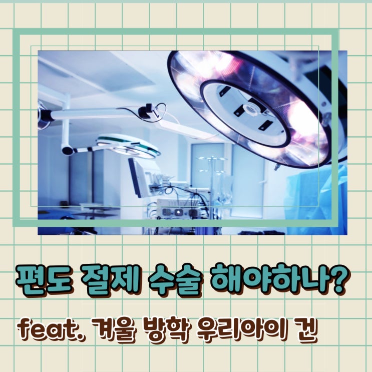  편도 절제 수술 적응증 과정 주의점까지 회복실 간호사가 한방에 정리