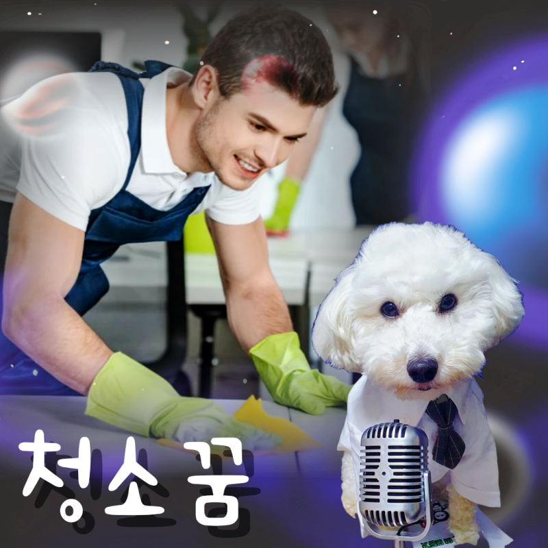 청소하는 꿈해몽 다양한 청소꿈 총정리