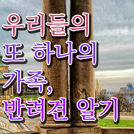  반려동물 관리사 자격증 취득 공부 알려드릴게요 ?