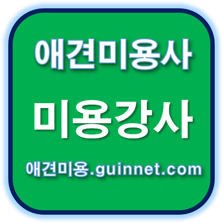  [울산 중구]애견 미용사 구인합니다. 애견미용사가 되는 단계 애견미용사구인