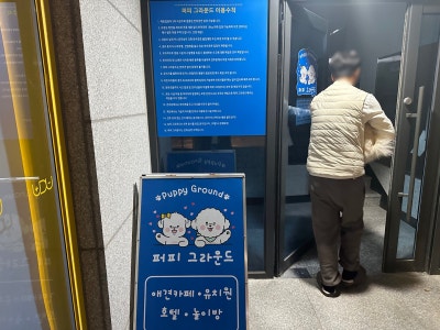 사진 2