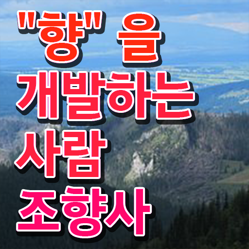  조향사 자격증 난이도