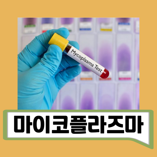 마이코플라즈마 제니탈리움 원인 및 치료 호미니스와 차이점