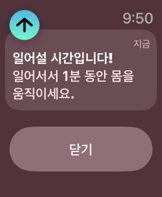  [울산가볼만한곳]새해 첫 아침운동 선암호수공원 걷기