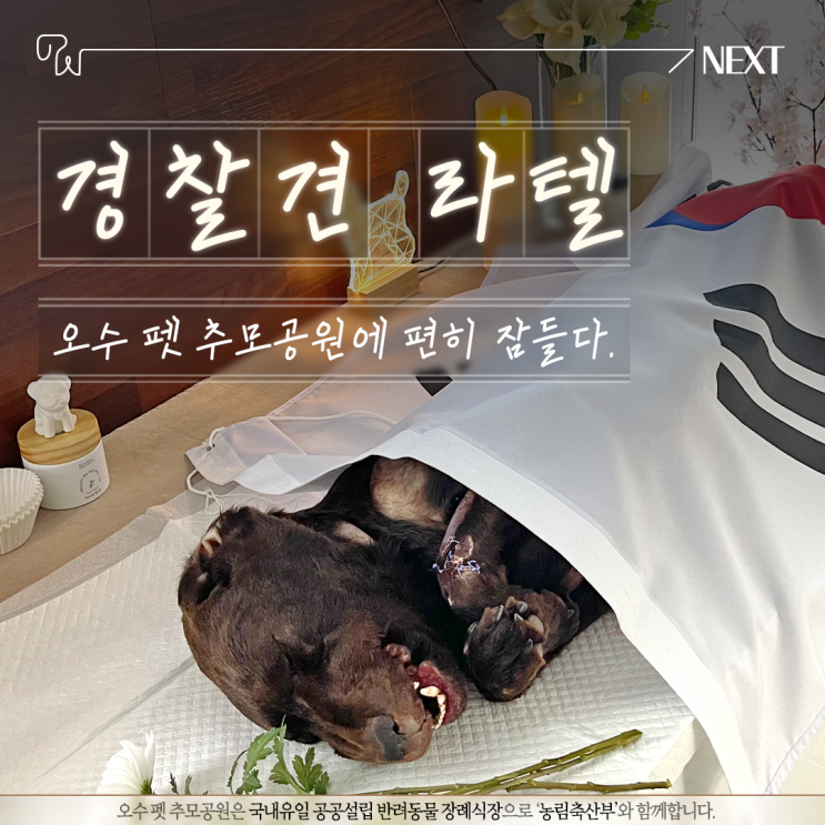 경찰견 라텔이가 무지개다리를 건넜습니다.