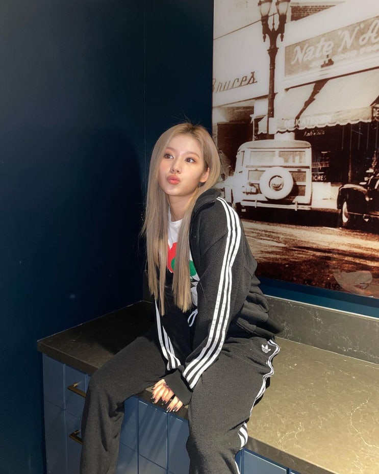  여성 운동복과 일상의 여자 캐주얼룩 완성을 도울 아디다스 져지와 트레이닝 팬츠 셋업 세트 w. 사나