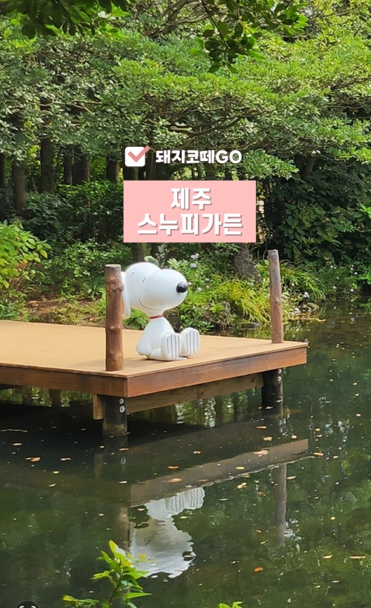  돼지코떼GO_제주스누피가든_제주도추천관광지_제주도가족여행추천_제주도여행_제주도여행코스