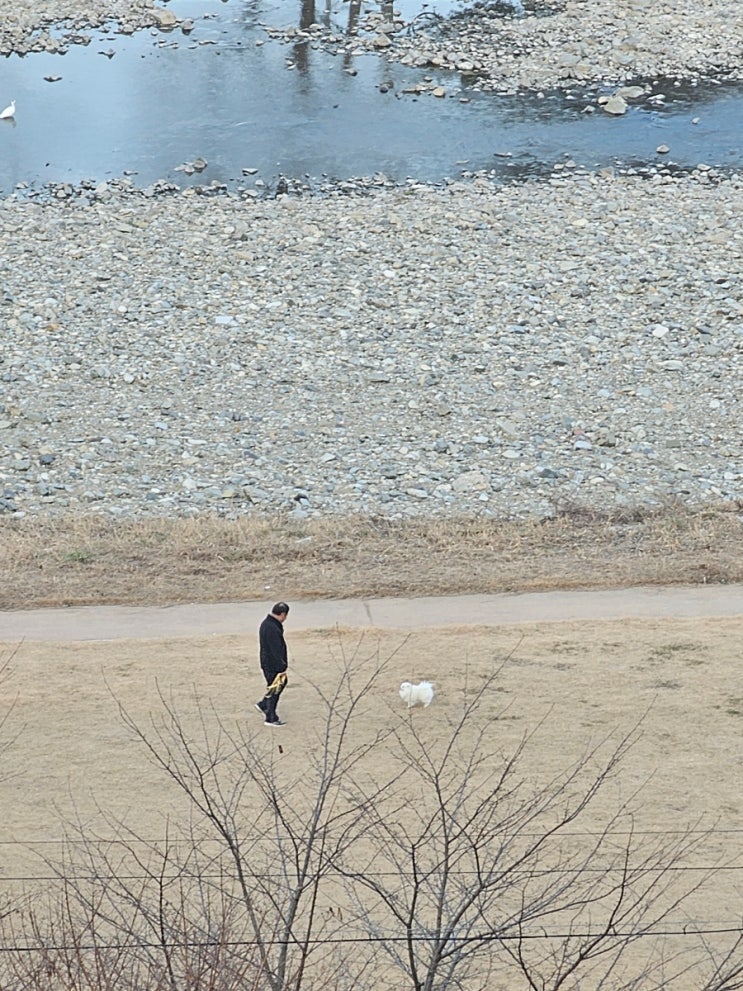  24년 1월 12일 산책 일기