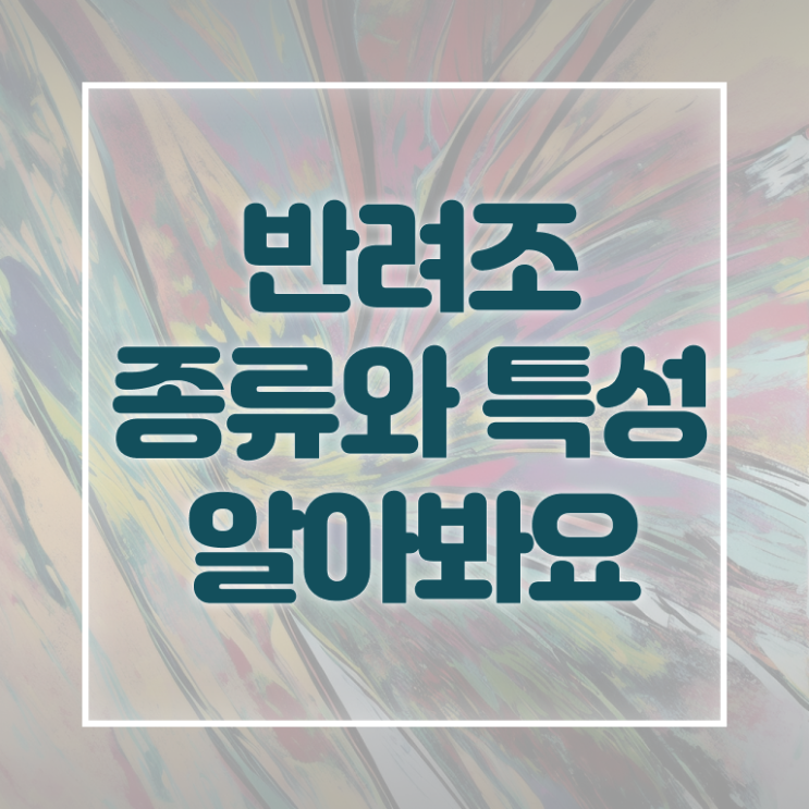  반려조관리사 1급 자격증 발급기관 알려드릴게요 ! 한국자격검정원