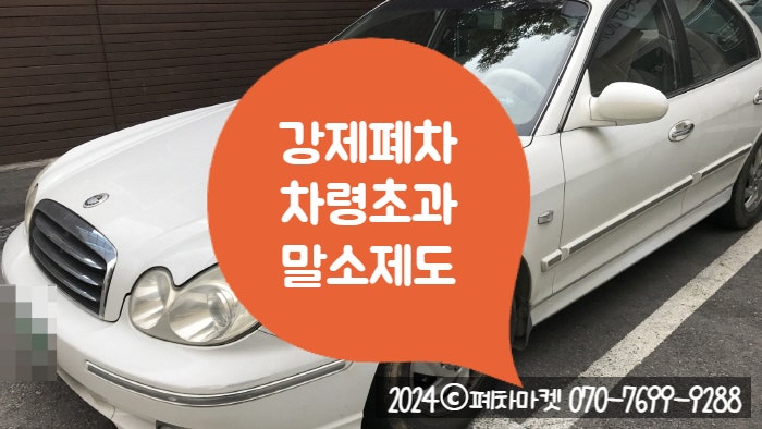  강제폐차 차령초과말소제도