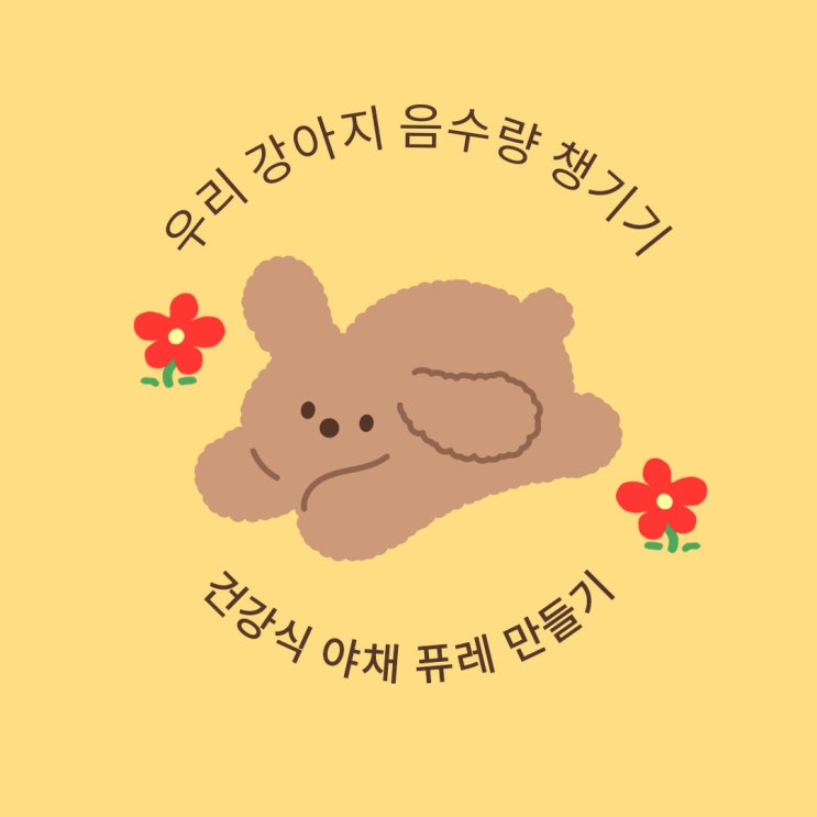  강아지음수량채우기_건강하게 야채퓨레 만들어주기