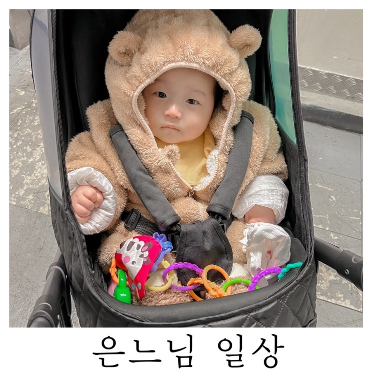  [은느님 일상]셋이서 처음으로 산책 다녀옴