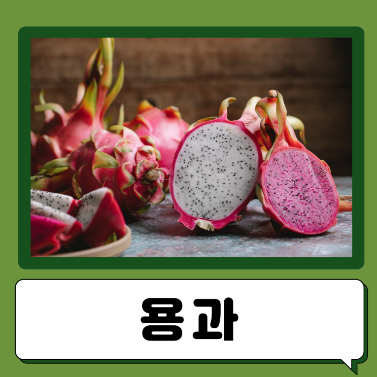  용과 레드용과 효능 부작용 칼로리 손질법 먹는법 맛